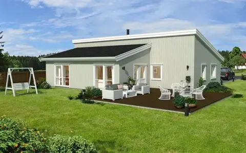 Ærfugl fra Hus1 Norge