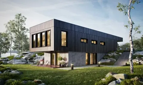 Skarven fra Selbuhus